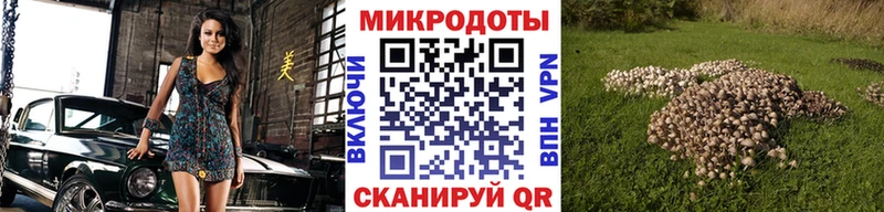 Галлюциногенные грибы Cubensis  наркошоп  ссылка на мегу зеркало  Гаврилов-Ям 